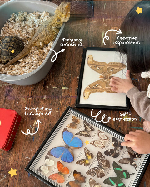 The imaginarium: Navigating curious endeavors 1pm to 3pm